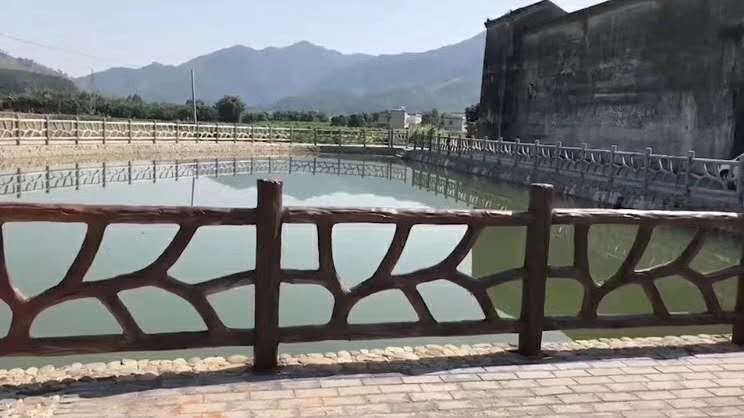 仿樹藤