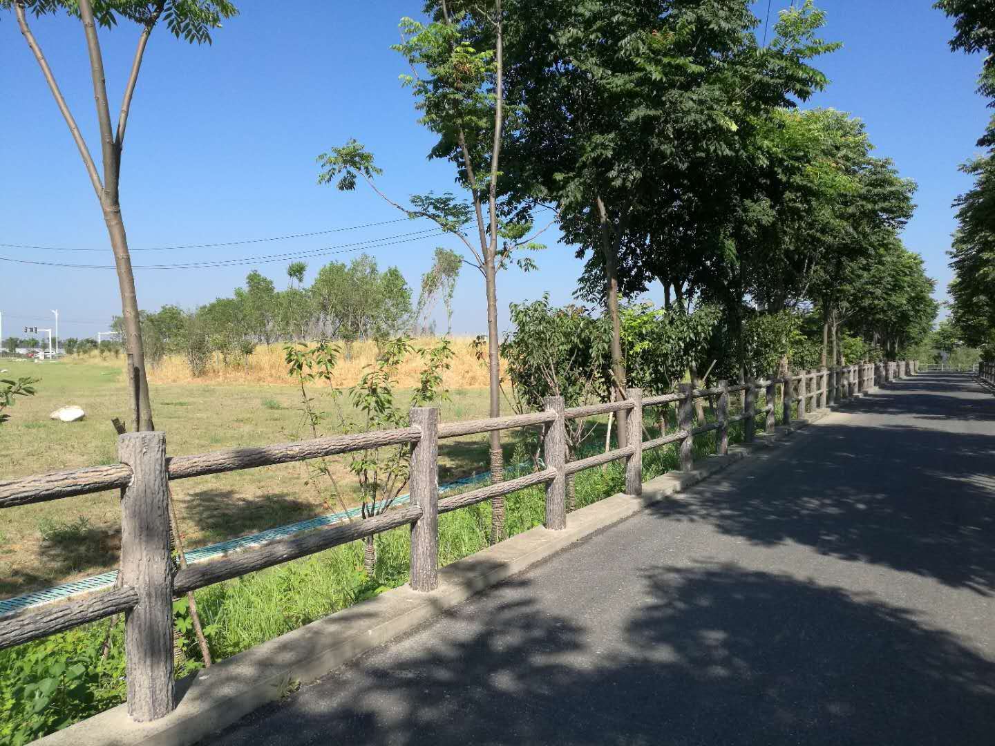 仿樹皮zd